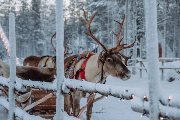 Rovaniemi w Finlandii nowością w zimowym rozkładzie LOT